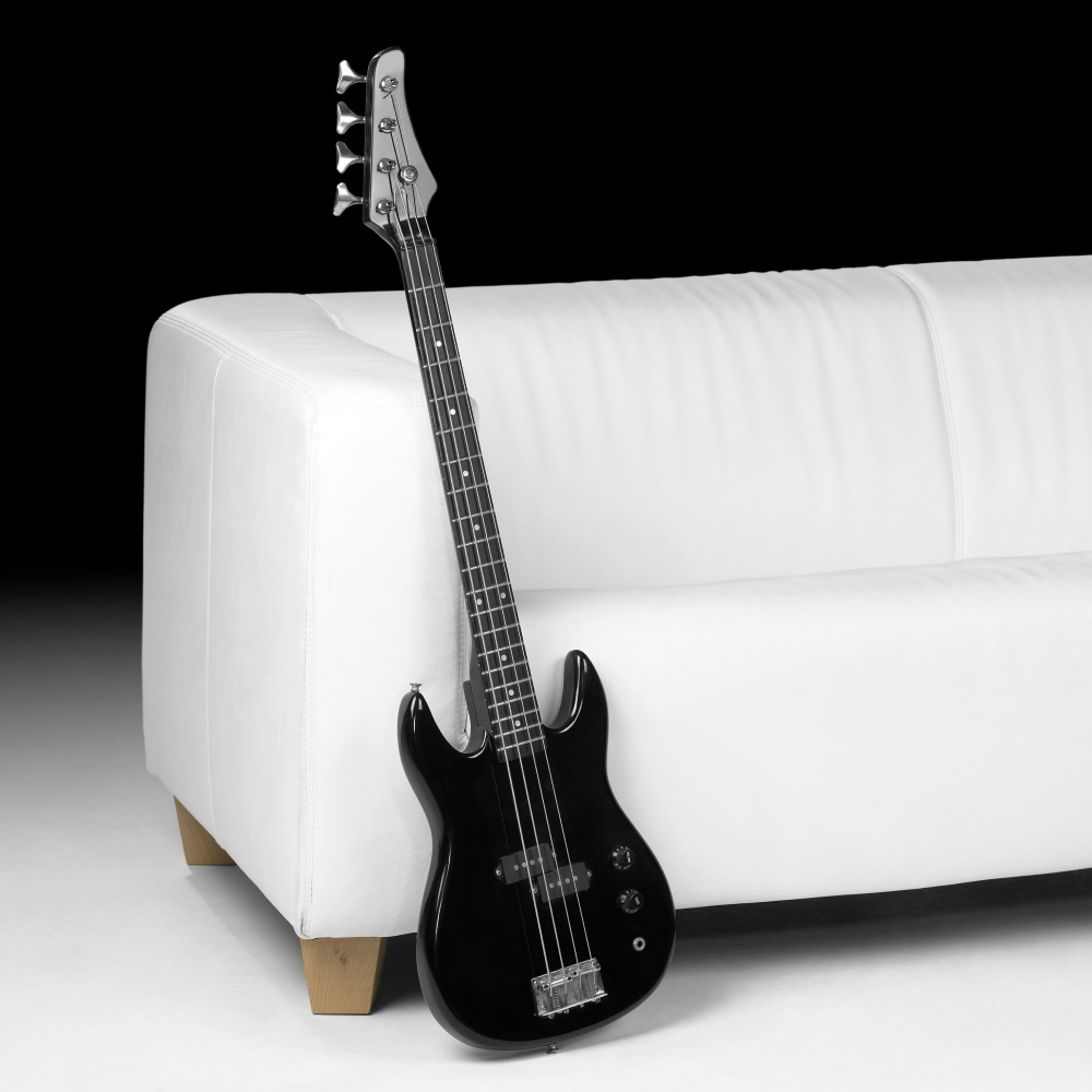 Electric Bass Guitar
