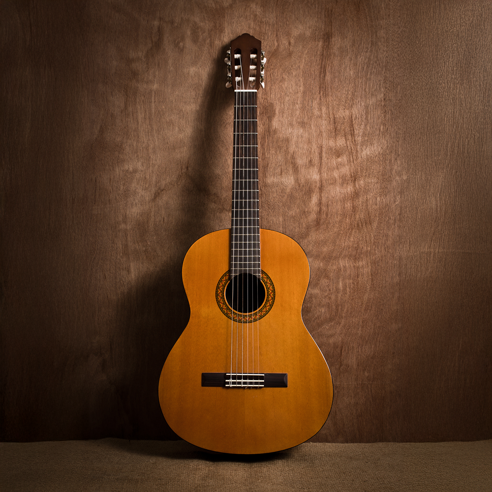 Acoustic Guitar